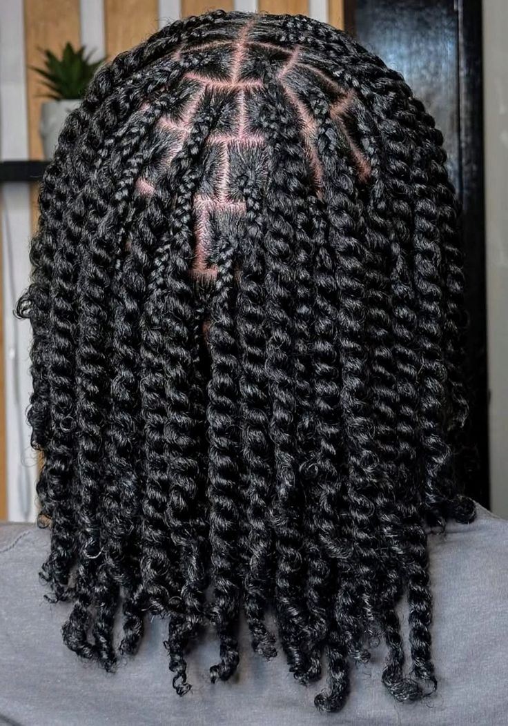 Flat Twist Natural Hair at Kani African Hair Braiding Cleveland