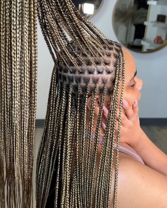 Professional Box Braids at Kani African Hair Braiding Cleveland